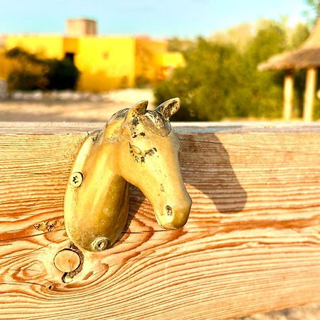דירות סידי קאוקי Eco-Ranch Salome מראה חיצוני תמונה